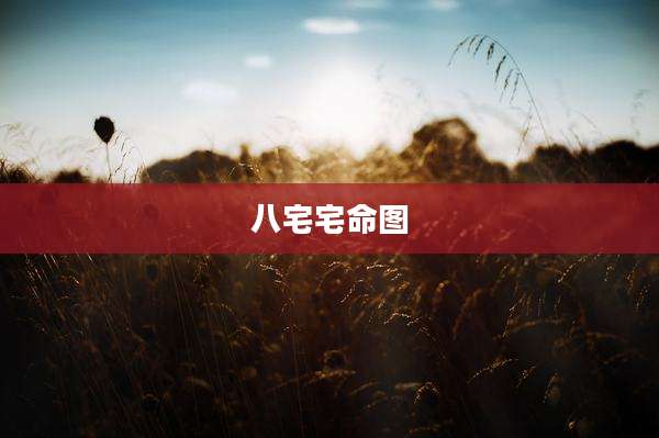 八宅宅命图