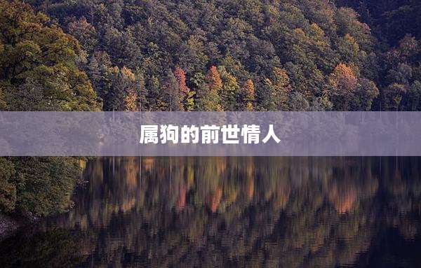 属狗的前世情人