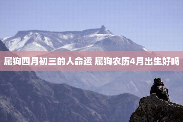 属狗四月初三的人命运 属狗农历4月出生好吗