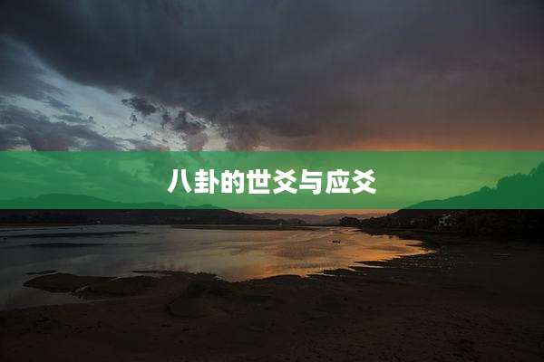 八卦的世爻与应爻