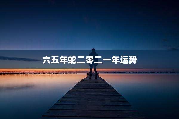 六五年蛇二零二一年运势