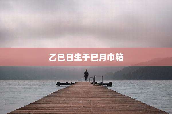 乙巳日生于巳月巾箱
