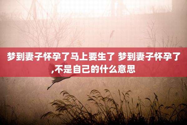 梦到妻子怀孕了马上要生了 梦到妻子怀孕了,不是自己的什么意思