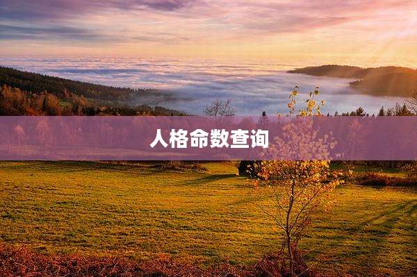 人格命数查询