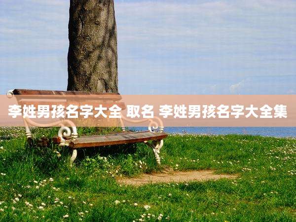 李姓男孩名字大全 取名 李姓男孩名字大全集