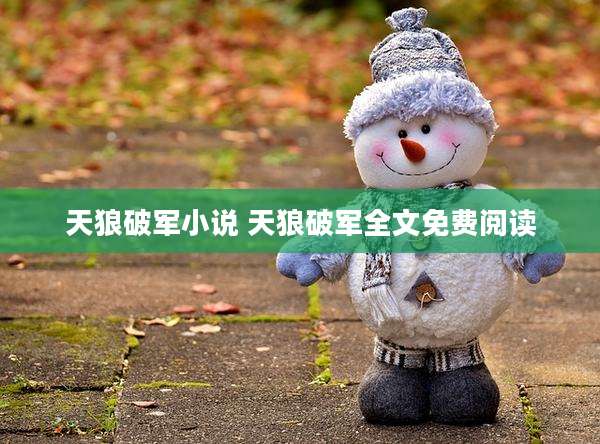 天狼破军小说 天狼破军全文免费阅读