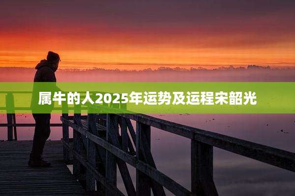属牛的人2025年运势及运程宋韶光