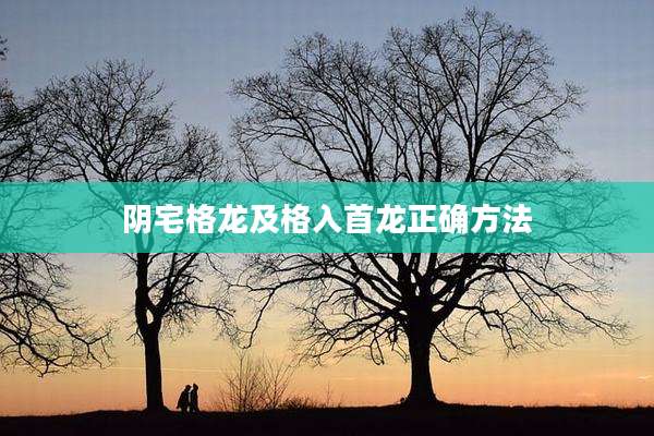 阴宅格龙及格入首龙正确方法