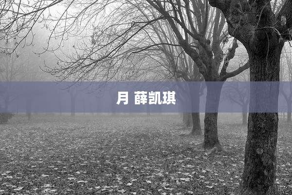 月 薛凯琪