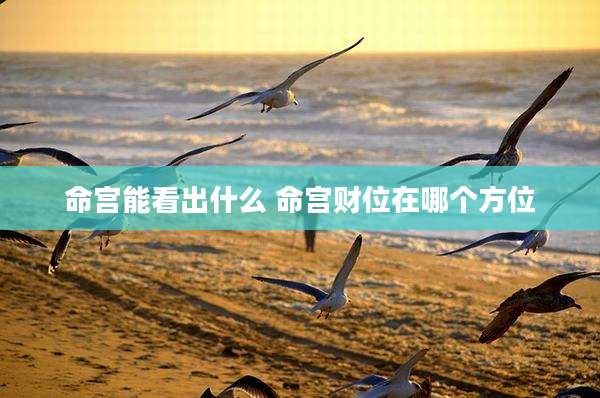 命宫能看出什么 命宫财位在哪个方位