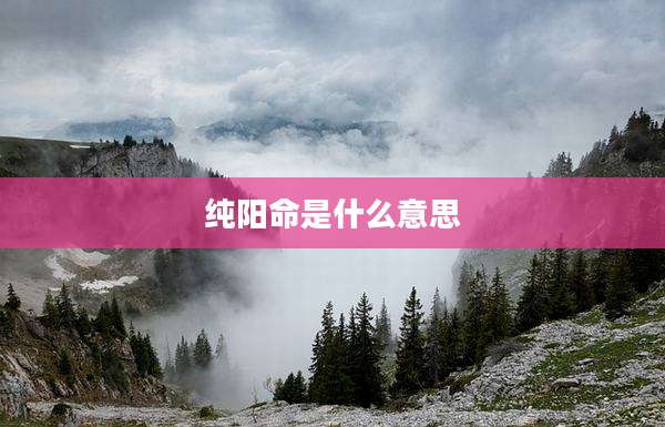 纯阳命是什么意思