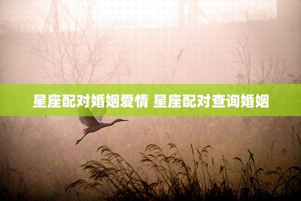星座配对婚姻爱情 星座配对查询婚姻