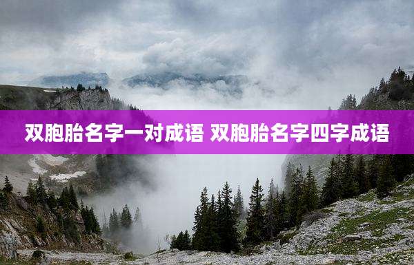 双胞胎名字一对成语 双胞胎名字四字成语