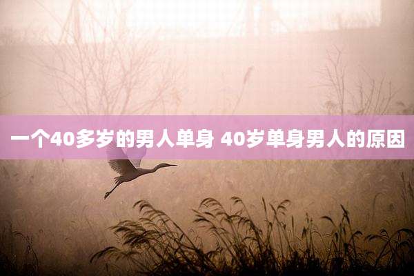 一个40多岁的男人单身 40岁单身男人的原因