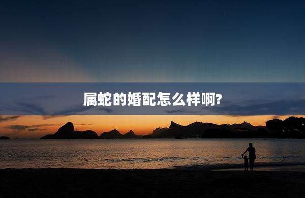 属蛇的婚配怎么样啊?