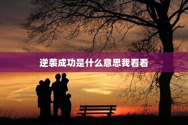 逆袭成功是什么意思我看看