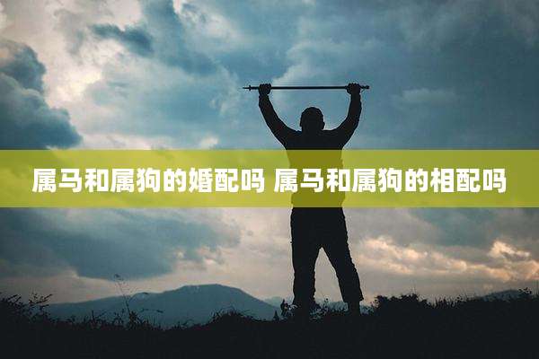属马和属狗的婚配吗 属马和属狗的相配吗