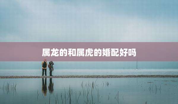 属龙的和属虎的婚配好吗