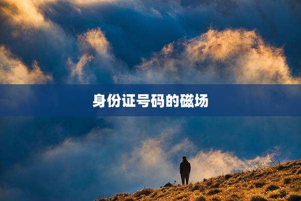 身份证号码的磁场