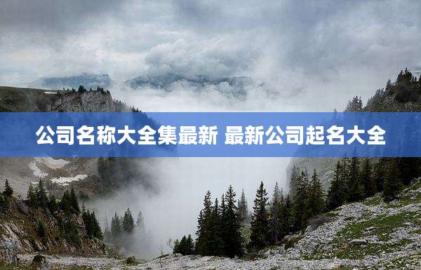 公司名称大全集最新 最新公司起名大全