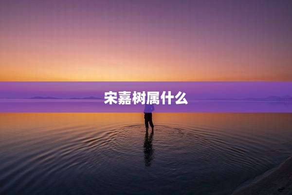 宋嘉树属什么
