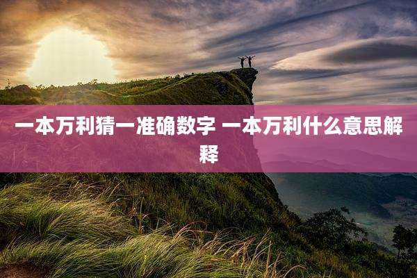 一本万利猜一准确数字 一本万利什么意思解释