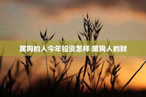 属狗的人今年投资怎样 属狗人的财