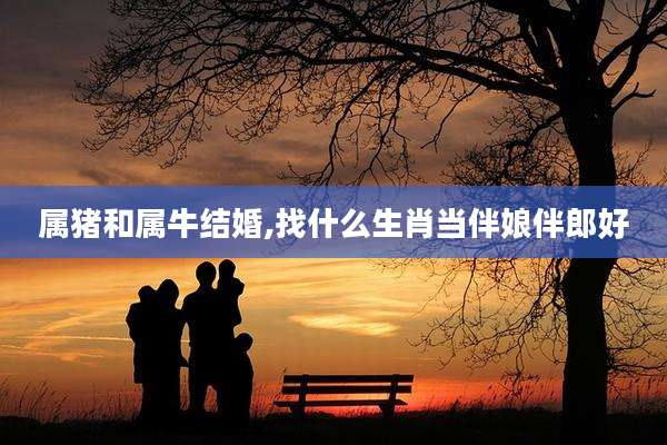 属猪和属牛结婚,找什么生肖当伴娘伴郎好