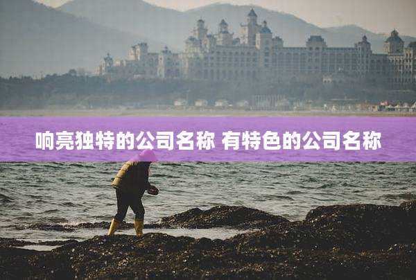 响亮独特的公司名称 有特色的公司名称