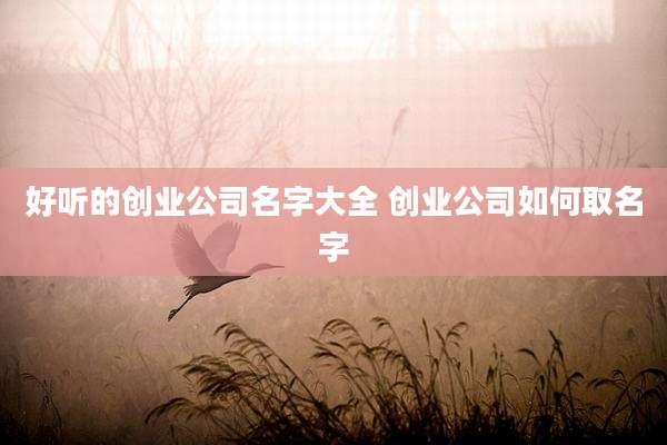 好听的创业公司名字大全 创业公司如何取名字