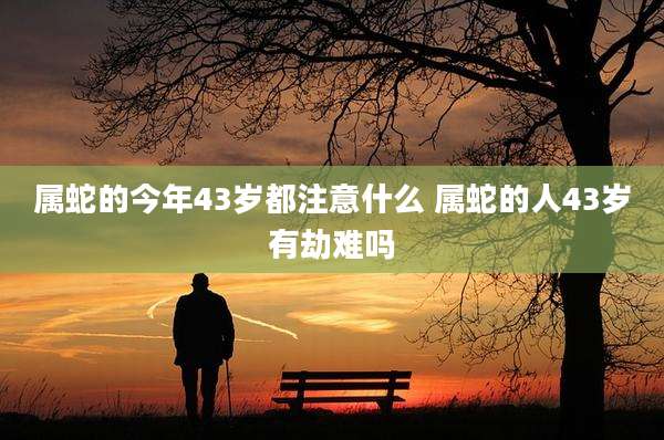 属蛇的今年43岁都注意什么 属蛇的人43岁有劫难吗