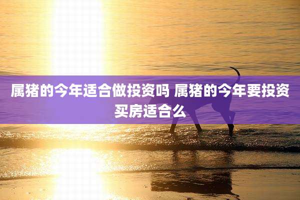 属猪的今年适合做投资吗 属猪的今年要投资买房适合么