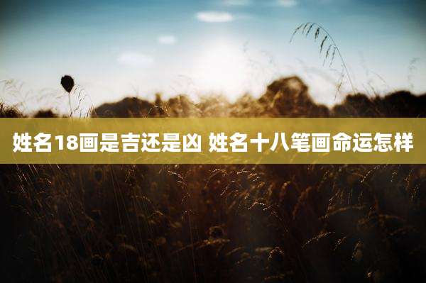 姓名18画是吉还是凶 姓名十八笔画命运怎样