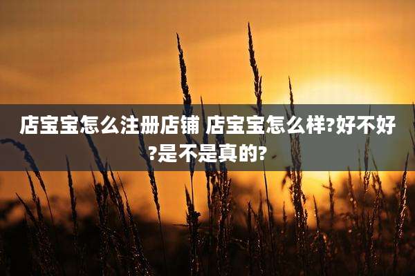 店宝宝怎么注册店铺 店宝宝怎么样?好不好?是不是真的?