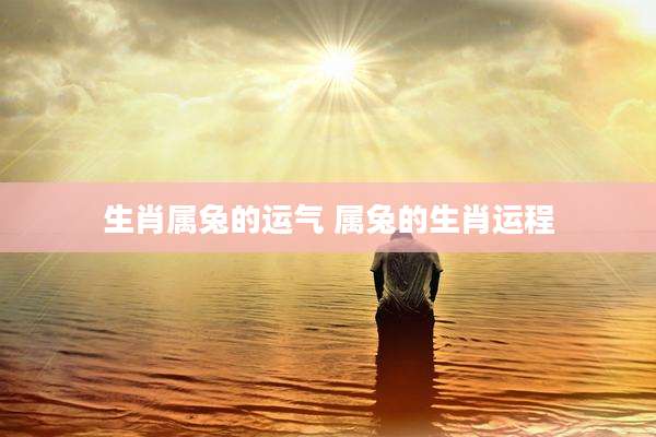 生肖属兔的运气 属兔的生肖运程