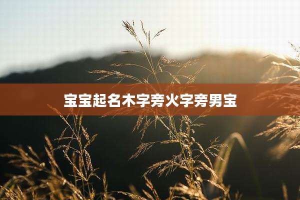 宝宝起名木字旁火字旁男宝