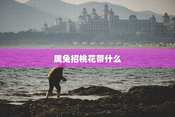 属兔招桃花带什么