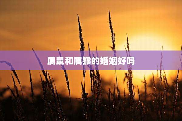 属鼠和属猴的婚姻好吗