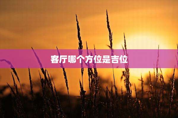客厅哪个方位是吉位
