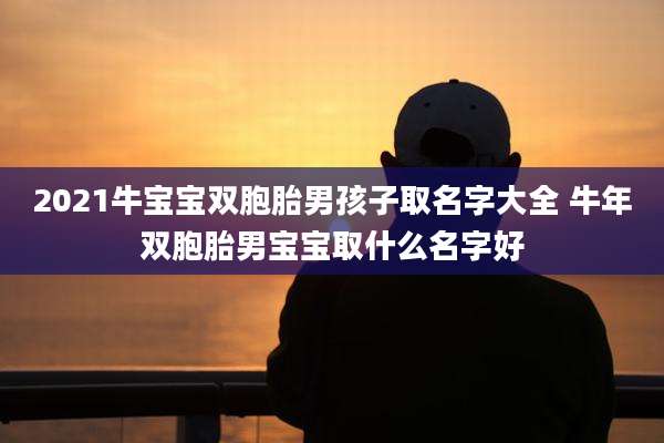 2021牛宝宝双胞胎男孩子取名字大全 牛年双胞胎男宝宝取什么名字好