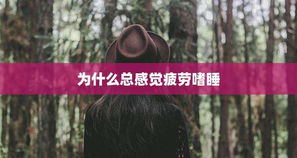 为什么总感觉疲劳嗜睡