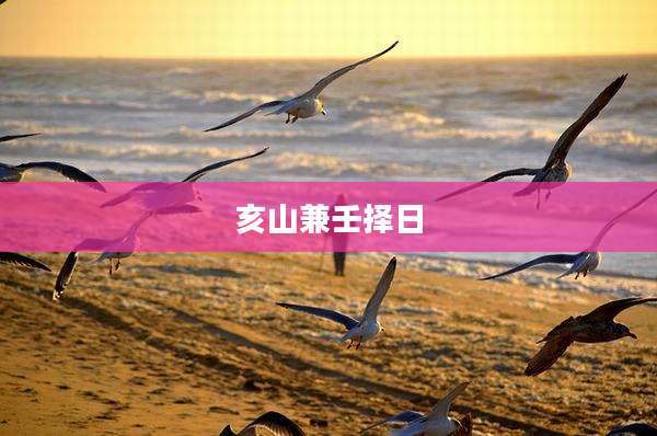 亥山兼壬择日