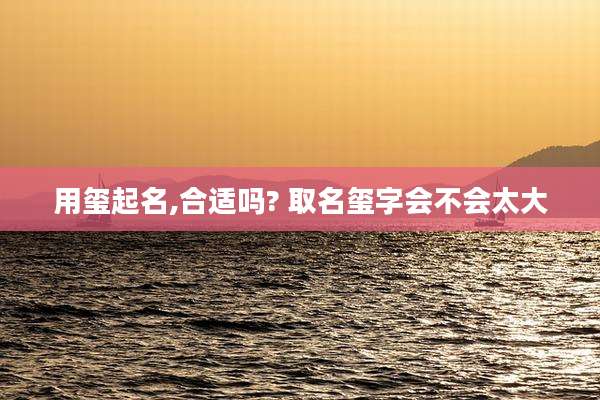 用玺起名,合适吗? 取名玺字会不会太大