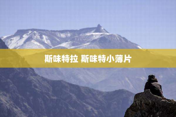 斯味特拉 斯味特小薄片