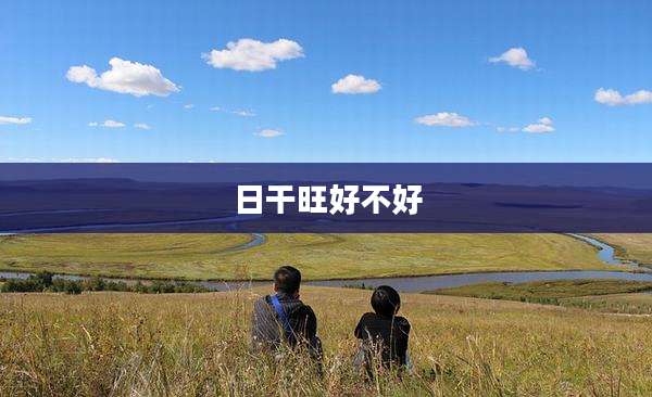 日干旺好不好
