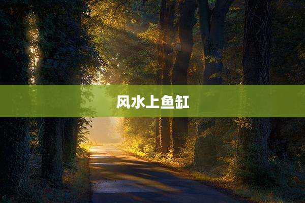 风水上鱼缸