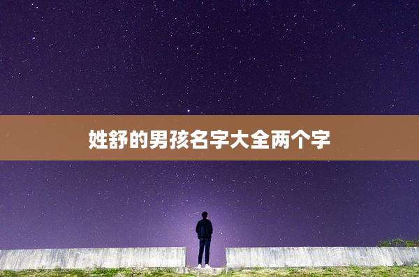 姓舒的男孩名字大全两个字