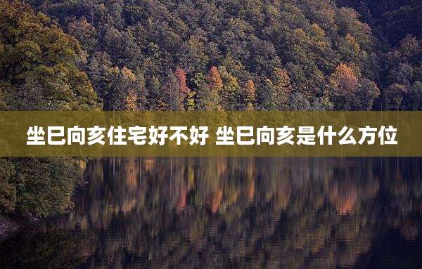 坐巳向亥住宅好不好 坐巳向亥是什么方位