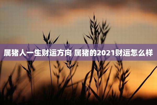 属猪人一生财运方向 属猪的2021财运怎么样