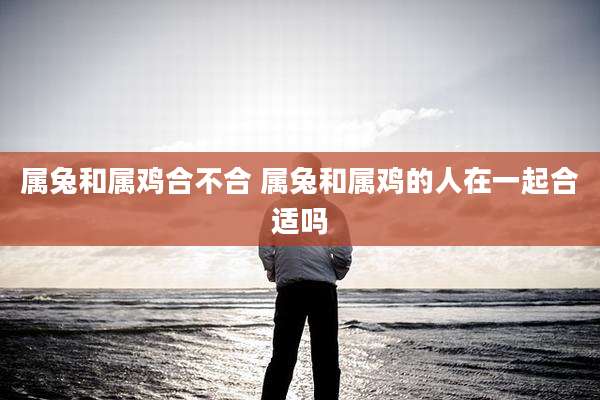 属兔和属鸡合不合 属兔和属鸡的人在一起合适吗